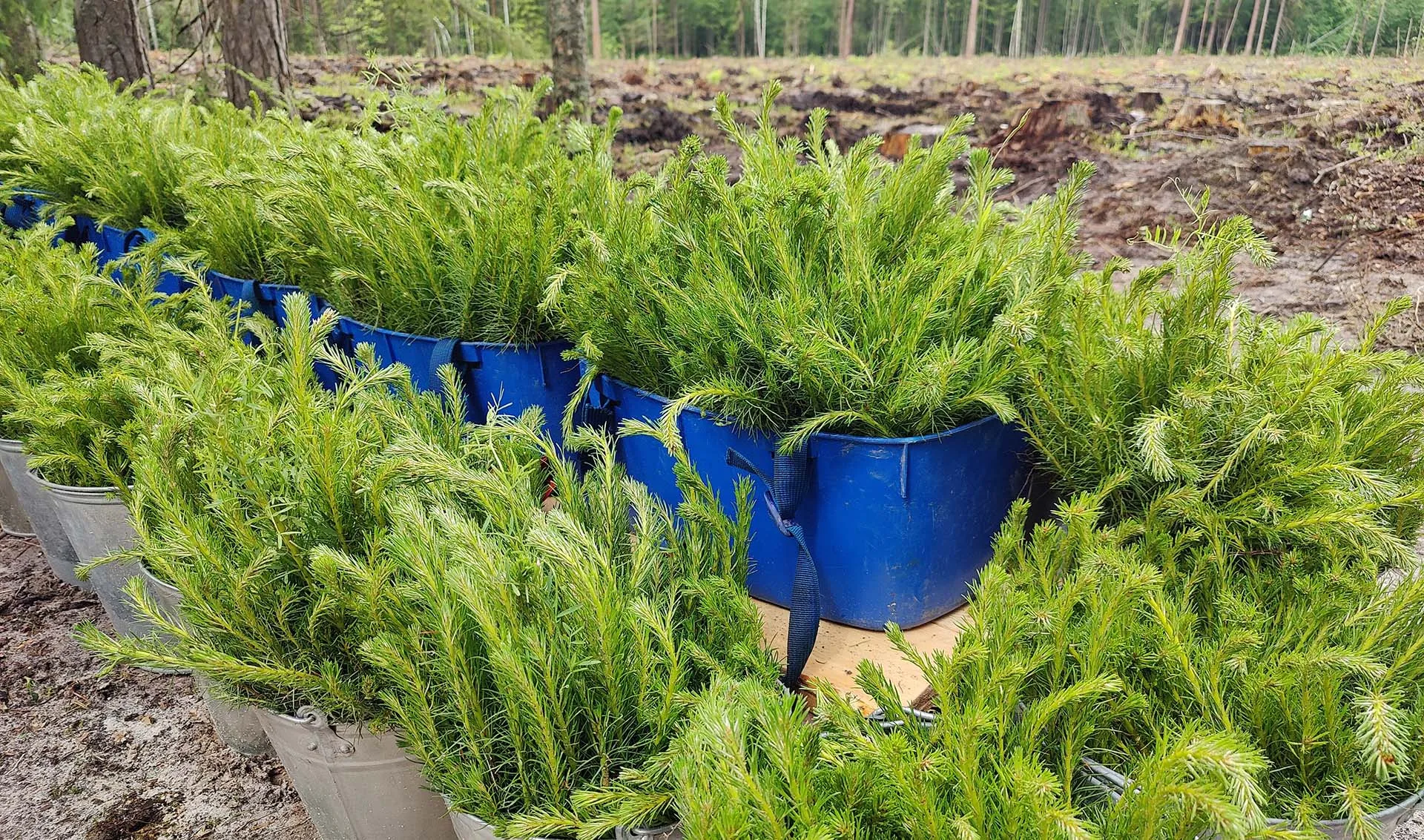 Пресс-служба правительства Нижегородской области