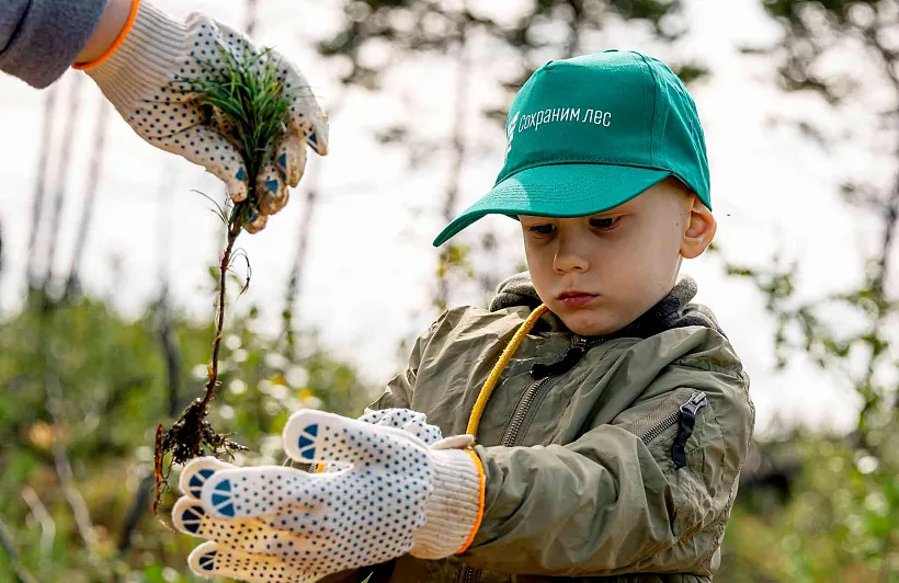 Экологическое благополучие: подводим итоги первого года работы нацпроекта