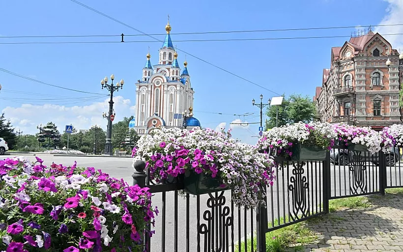 В&nbsp;Хабаровске в&nbsp;2025&nbsp;году высадят 1,5&nbsp;миллиона цветов