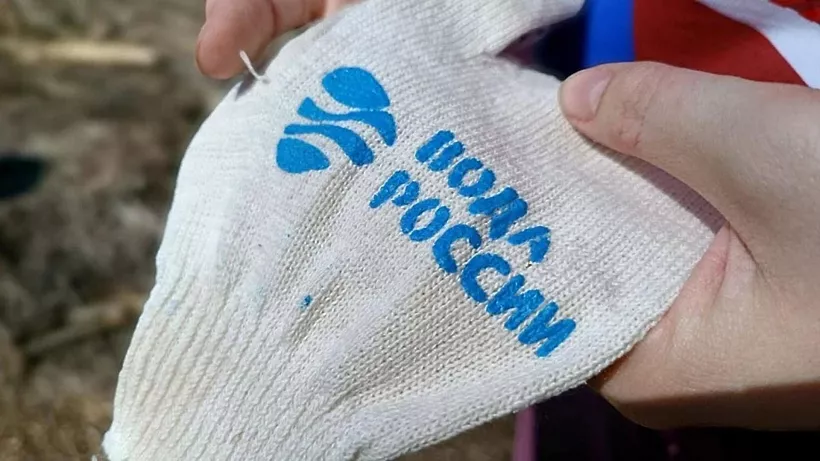 В&nbsp;Московской области очистили берега Можайского водохранилища