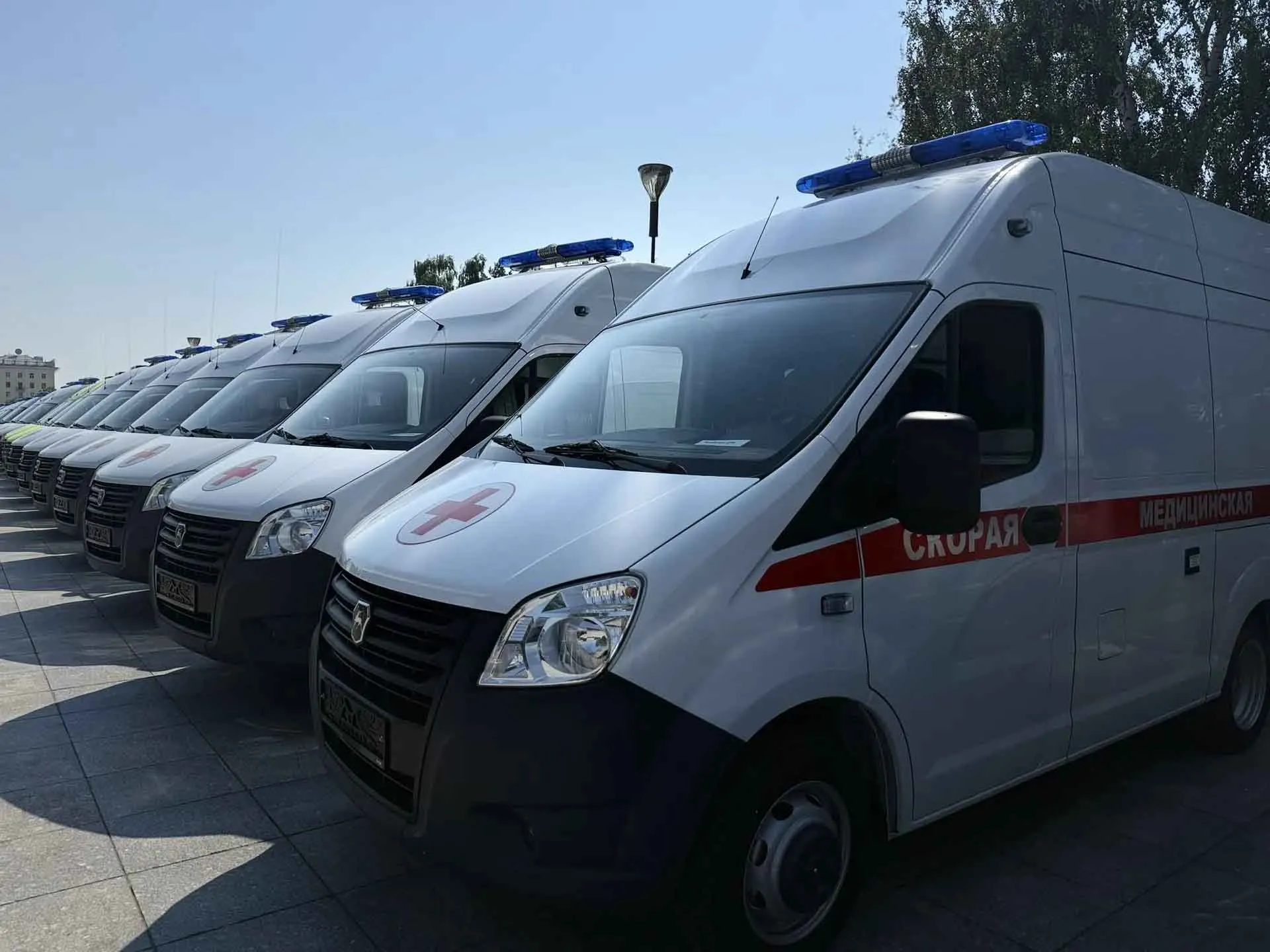 Министерство здравоохранения Алтайского края