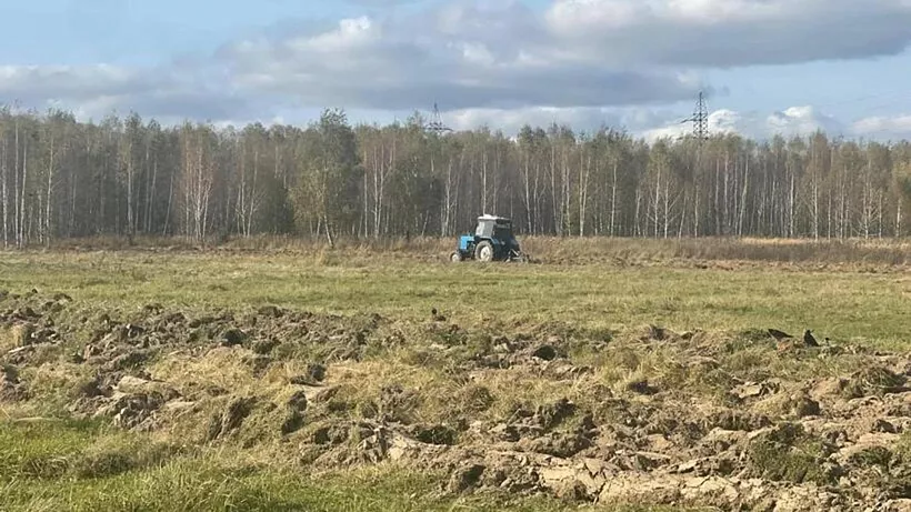 Фермеры Подмосковья могут поучаствовать в&nbsp;программе повышения квалификации