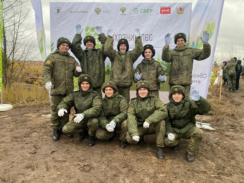 Около 17&nbsp;тысяч сеянцев тополя высадили в&nbsp;Пригородном лесничестве Воронежа