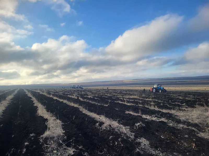 В&nbsp;Саратовской области осенью высадили 1,8&nbsp;тысячи гектаров новых лесов
