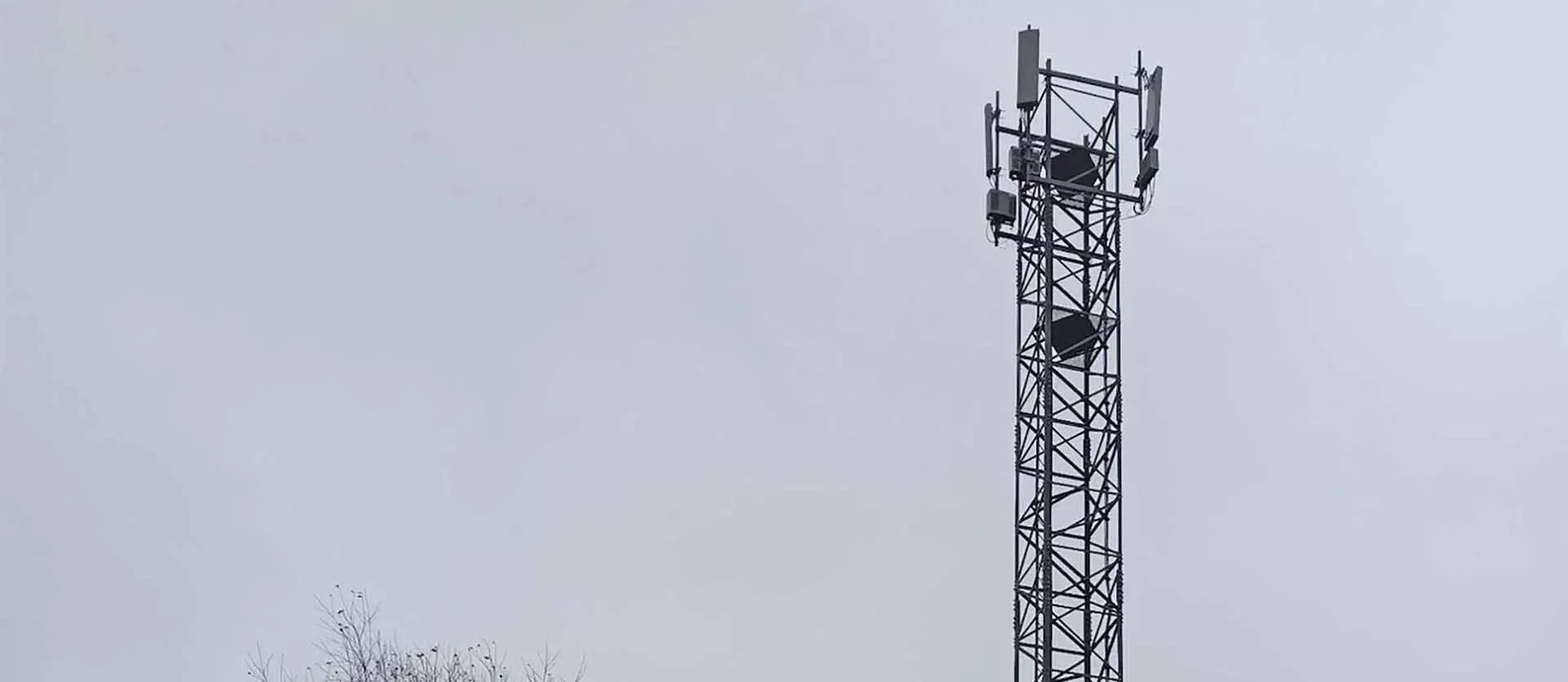 Администрация Артинского городского округа