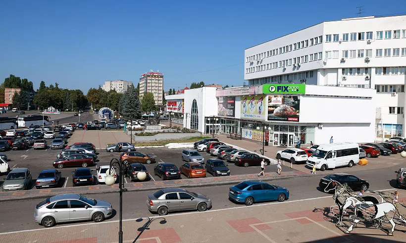 В&nbsp;Курской области за&nbsp;6&nbsp;лет восстановили около 2&nbsp;тысяч гектаров леса