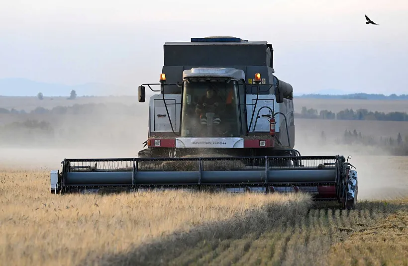 От&nbsp;стратегии к&nbsp;практике: итоги года работы нацпроекта по&nbsp;продбезопасности