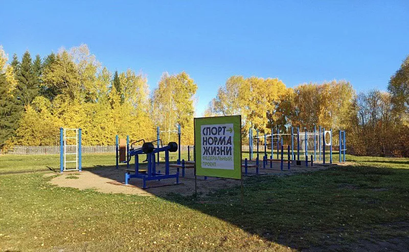 В&nbsp;деревне Большой Архангельской области построили площадку ГТО