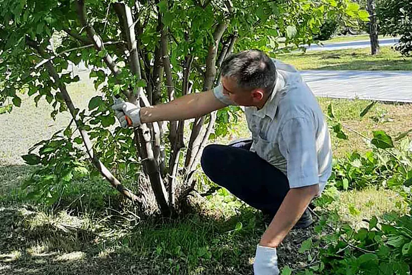 Более 25&nbsp;тысяч жителей Тюмени присоединились к&nbsp;городскому субботнику