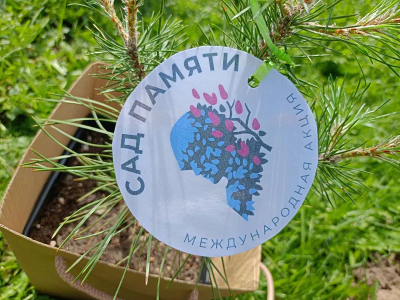 В&nbsp;Костроме высадили &laquo;Сад памяти&raquo; в&nbsp;парке Победы