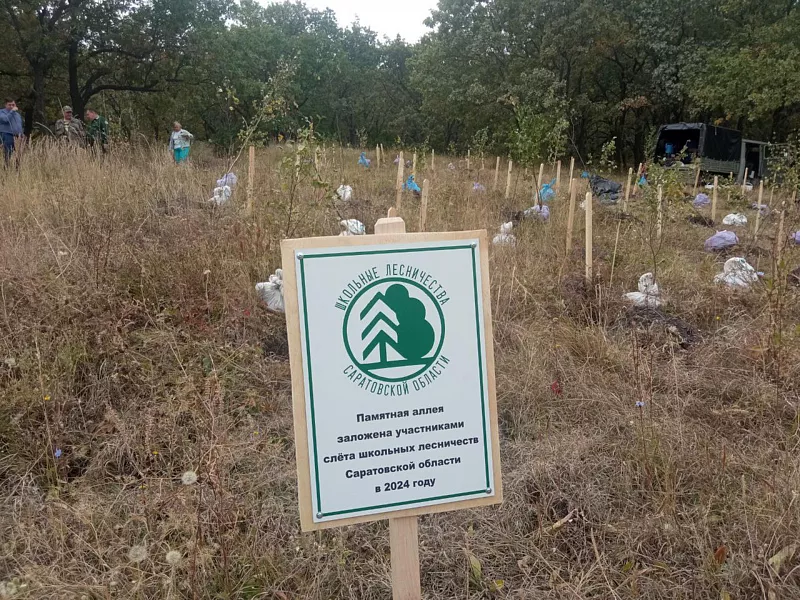 Аллею школьных лесничеств высадили в&nbsp;Саратовской области
