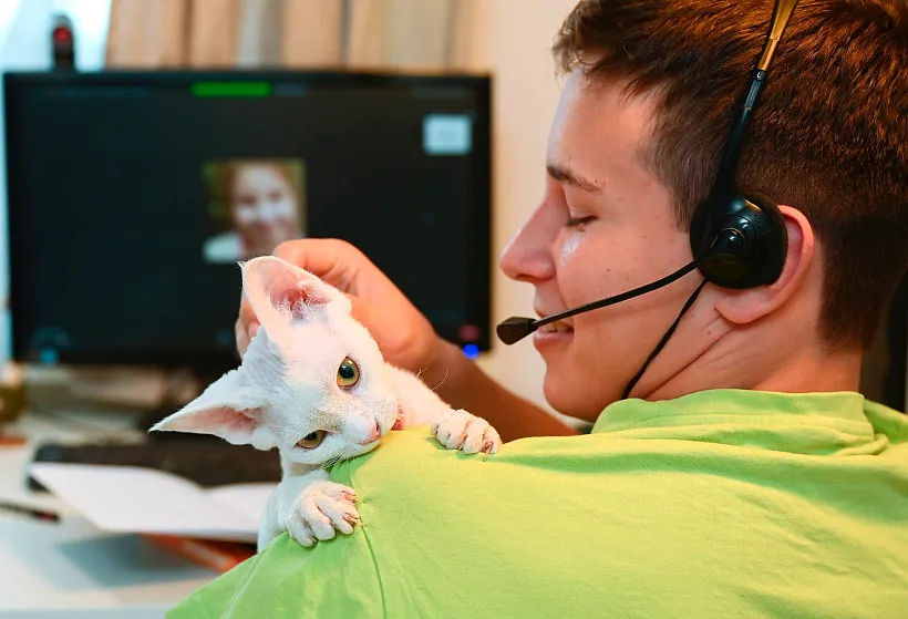 Цифровой иммунитет с&nbsp;детства: как&nbsp;не&nbsp;попасться на&nbsp;уловки кибермошенников