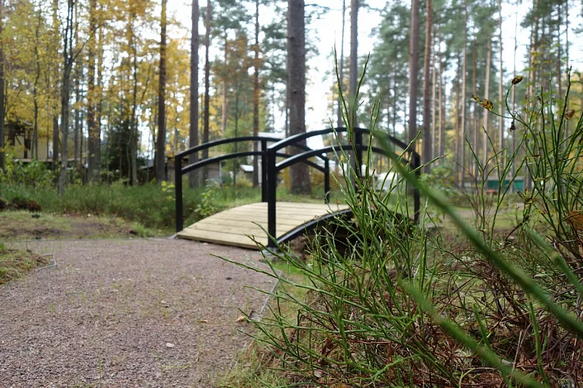 В&nbsp;поселке Комарово Санкт-Петербурга открыли новые зоны отдыха