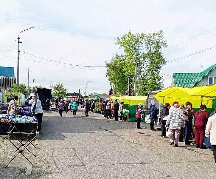 В&nbsp;тамбовском поселке Мордово прошла ярмарка &laquo;Выбирай свое&raquo;