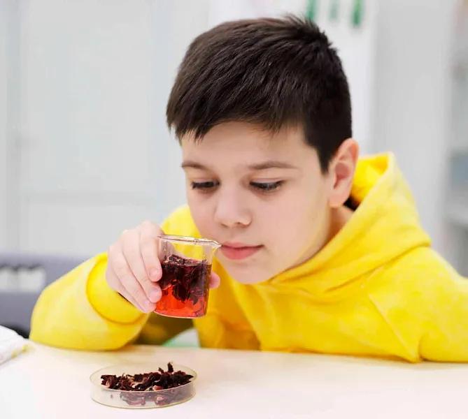 В&nbsp;Ельце Липецкой области школьники научились определять качество чая