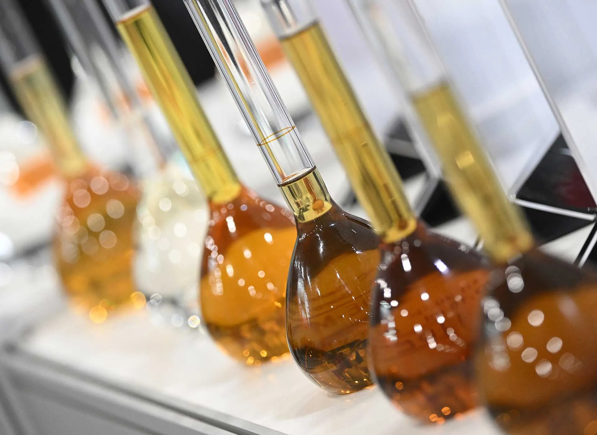 Максим Богодвид/РИА Новости