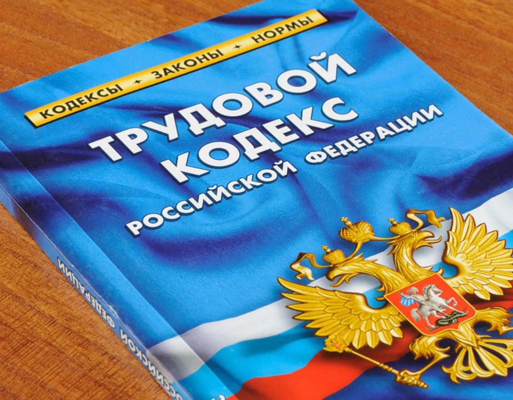 Центр "Мой бизнес" Камчатского края