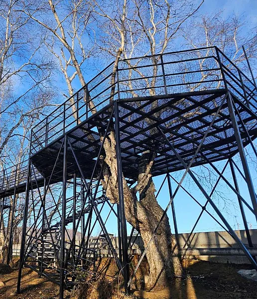 В&nbsp;селе Паратунка на&nbsp;Камчатке в&nbsp;2026&nbsp;году появится гостевой дом