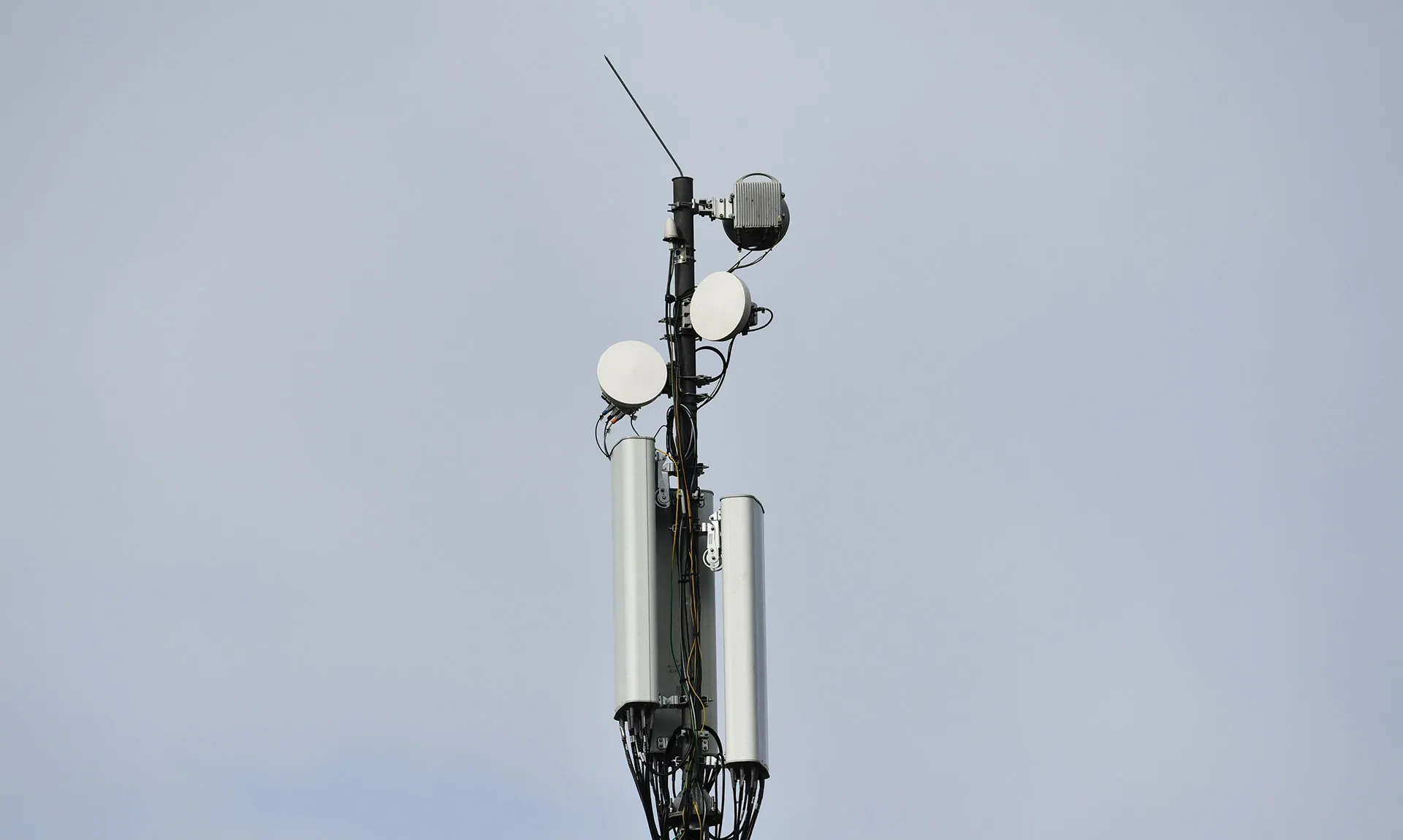 Михаил Воскресенский/РИА Новости