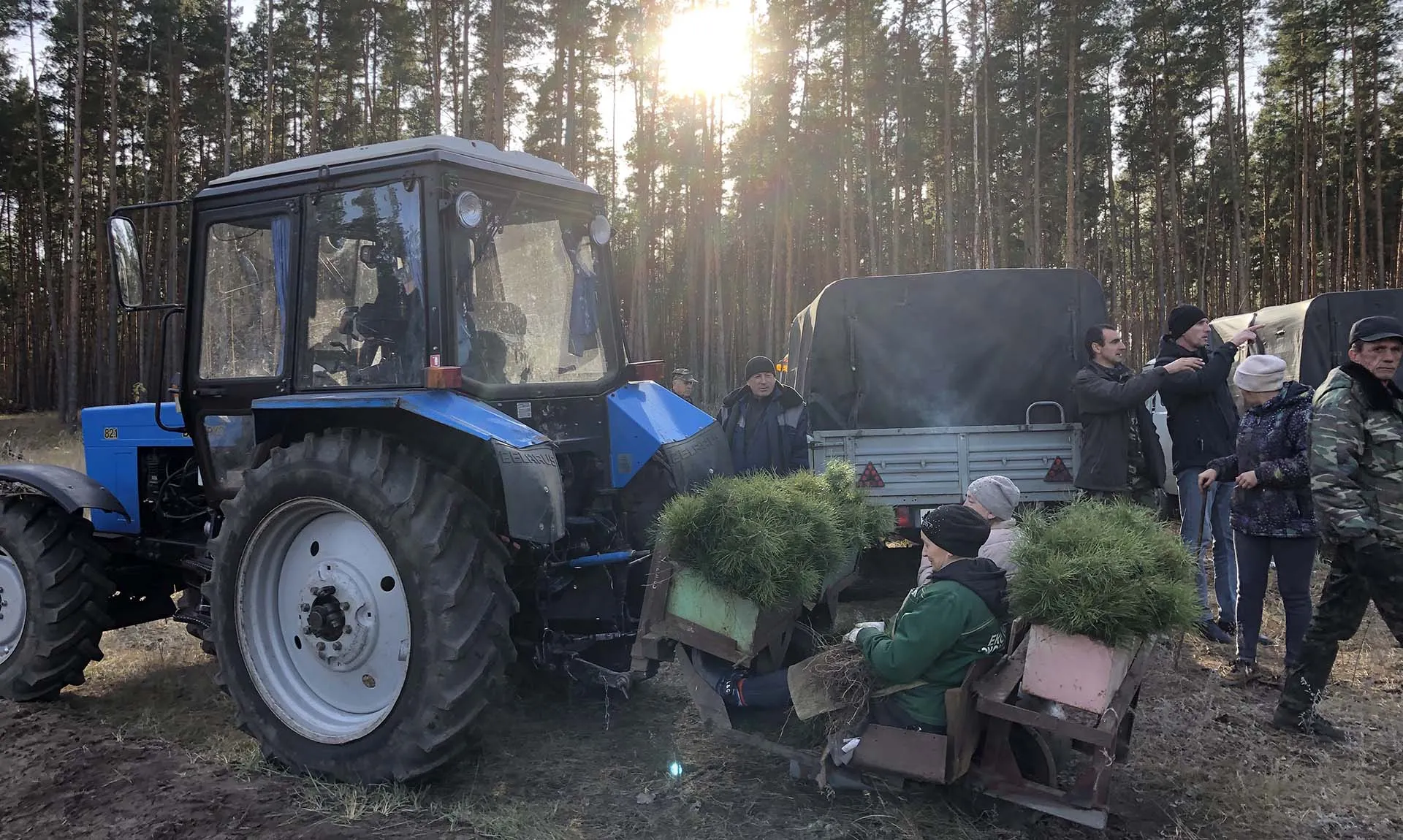 МИНИСТЕРСТВО ЛЕСНОГО ХОЗЯЙСТВА ВОРОНЕЖСКОЙ ОБЛАСТИ