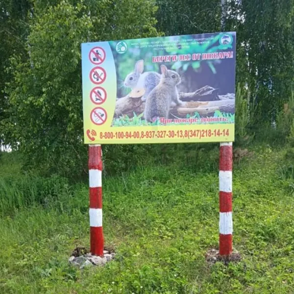 В&nbsp;Белебеевском районе Башкирии проводят профилактику лесных пожаров