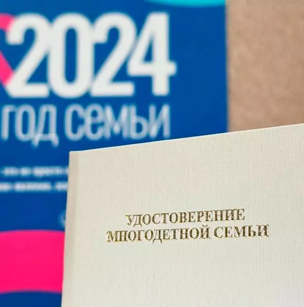 В&nbsp;Башкирии многодетные семьи смогут получать льготы онлайн