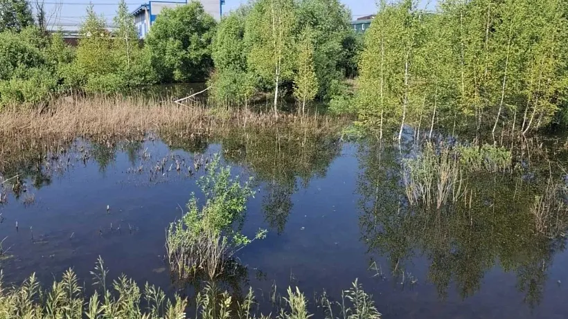 В&nbsp;Подмосковье за&nbsp;год очистят 39&nbsp;водоемов