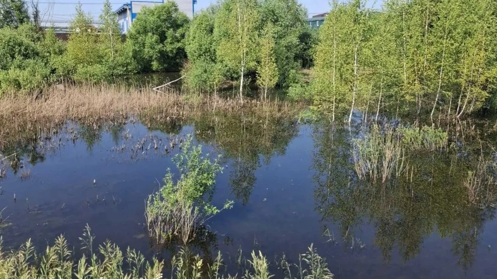 Министерство информации и молодежной политики Московской области