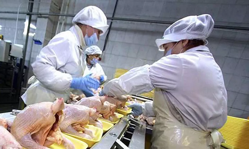 Ставрополье в&nbsp;пять раз нарастило экспорт мяса птицы в&nbsp;Грузию