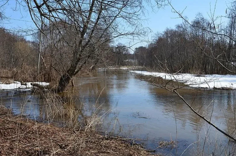 В&nbsp;Нижнем Новгороде расчистят реку Борзовку по&nbsp;нацпроекту