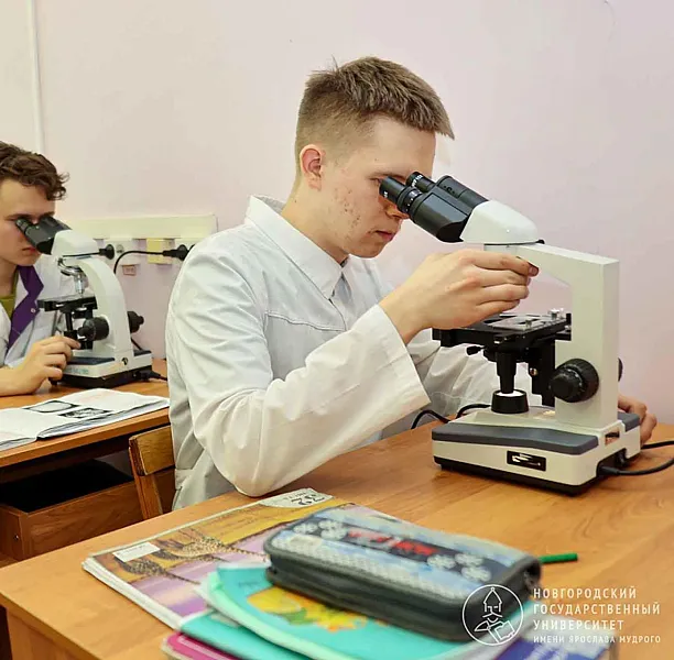 Новгородские ученые научились быстрее подбирать химиотерапию