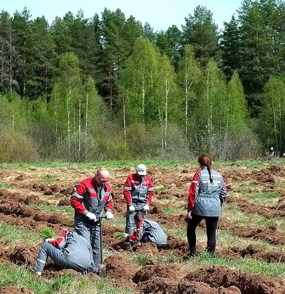 В&nbsp;Кирове в&nbsp;акции &laquo;Сад памяти&raquo; приняли участие более 500&nbsp;человек