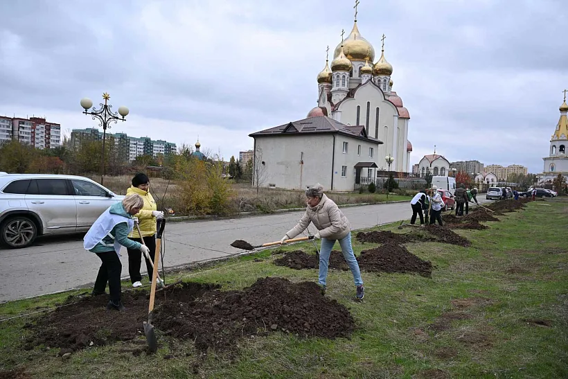 В&nbsp;Волгодонске в&nbsp;Ростовской области появилась липовая аллея