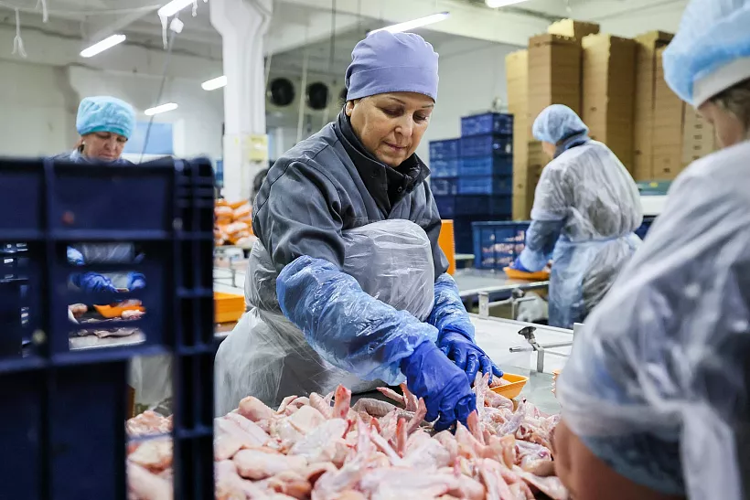 Донская компания разработала систему стерилизации мясных продуктов