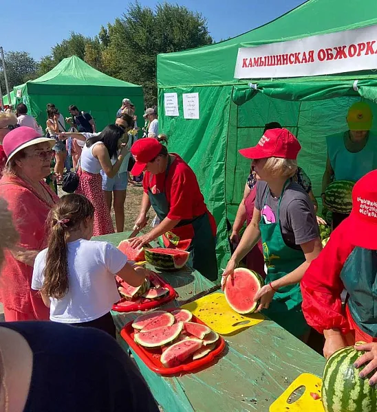 В&nbsp;Камышине Волгоградской области прошел фестиваль &laquo;Зело отменный плод!&raquo;