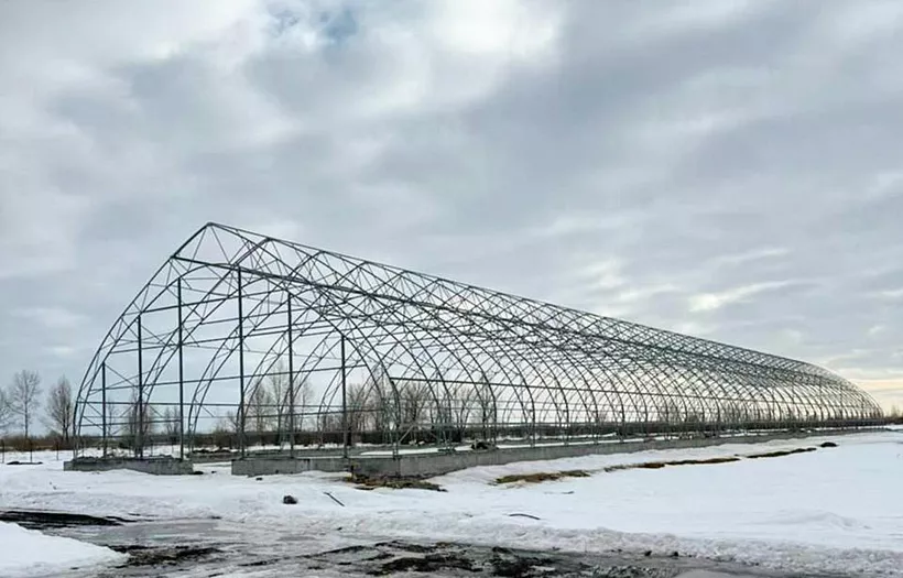 В&nbsp;Тюменской области откроют лесной селекционно-семеноводческий центр