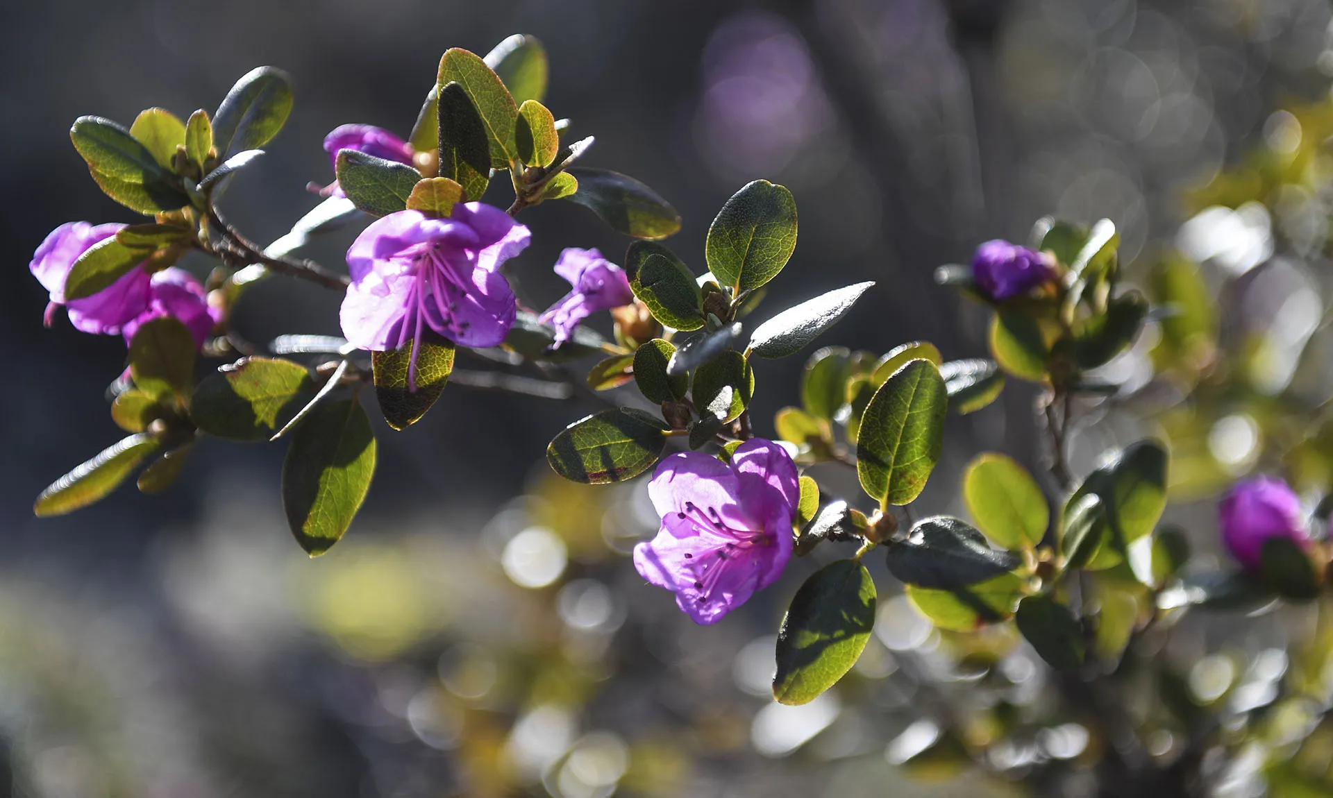 Кирилл Кухмарь/ТАСС