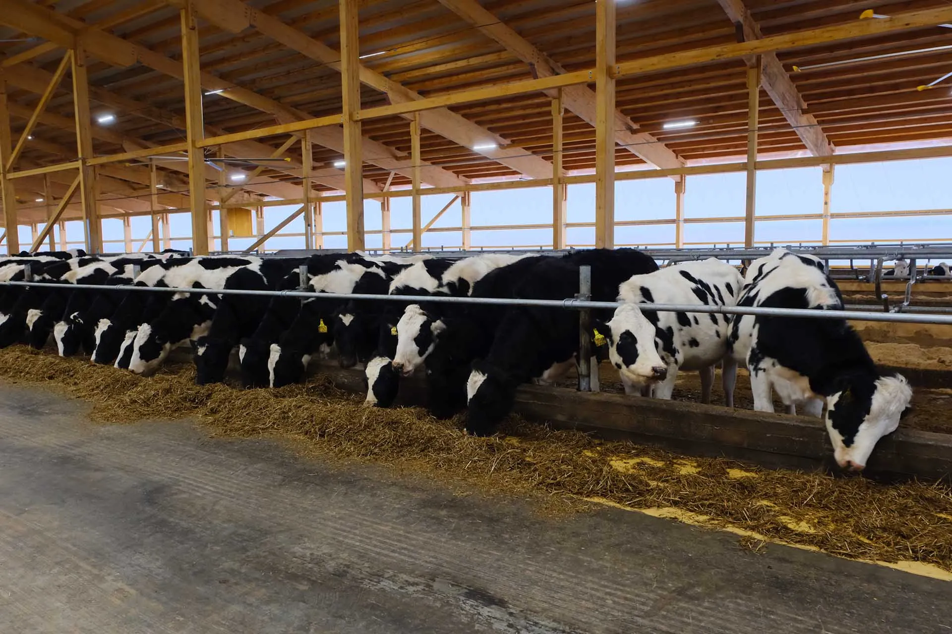 Министерство агропромышленного комплекса Пермского края