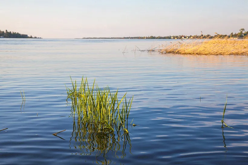 В&nbsp;Ленобласти создали охранную зону памятника природы &laquo;Нижневолховский&raquo;