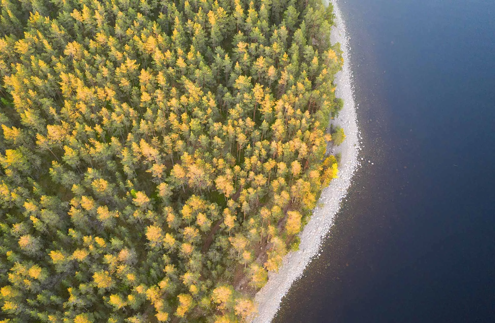 Александр Манзюк/ТАСС