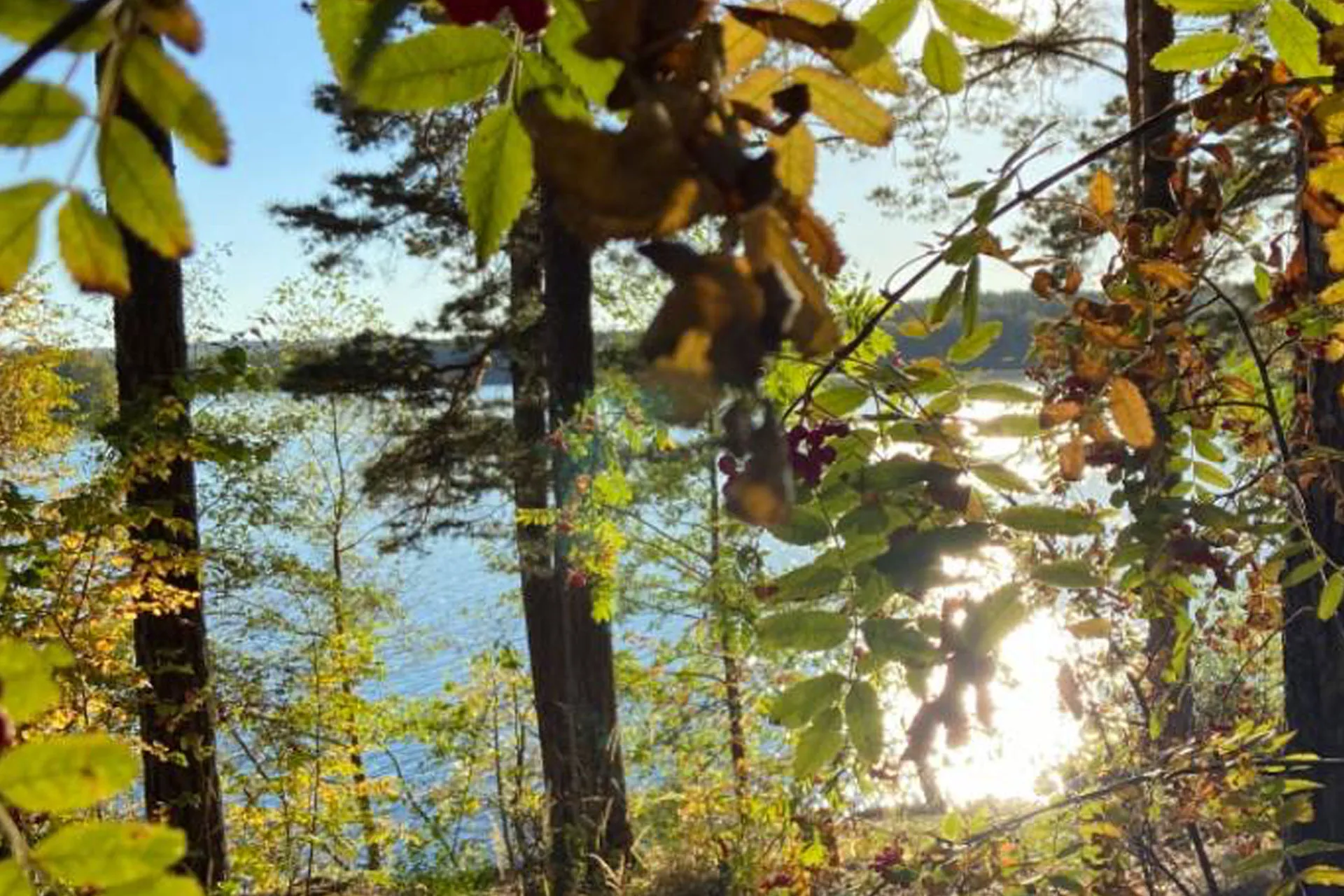 Администрация Чебаркульского городского округа