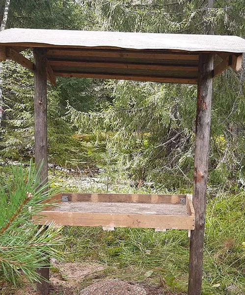 В&nbsp;Нижегородской области начался сезон подкормки птиц