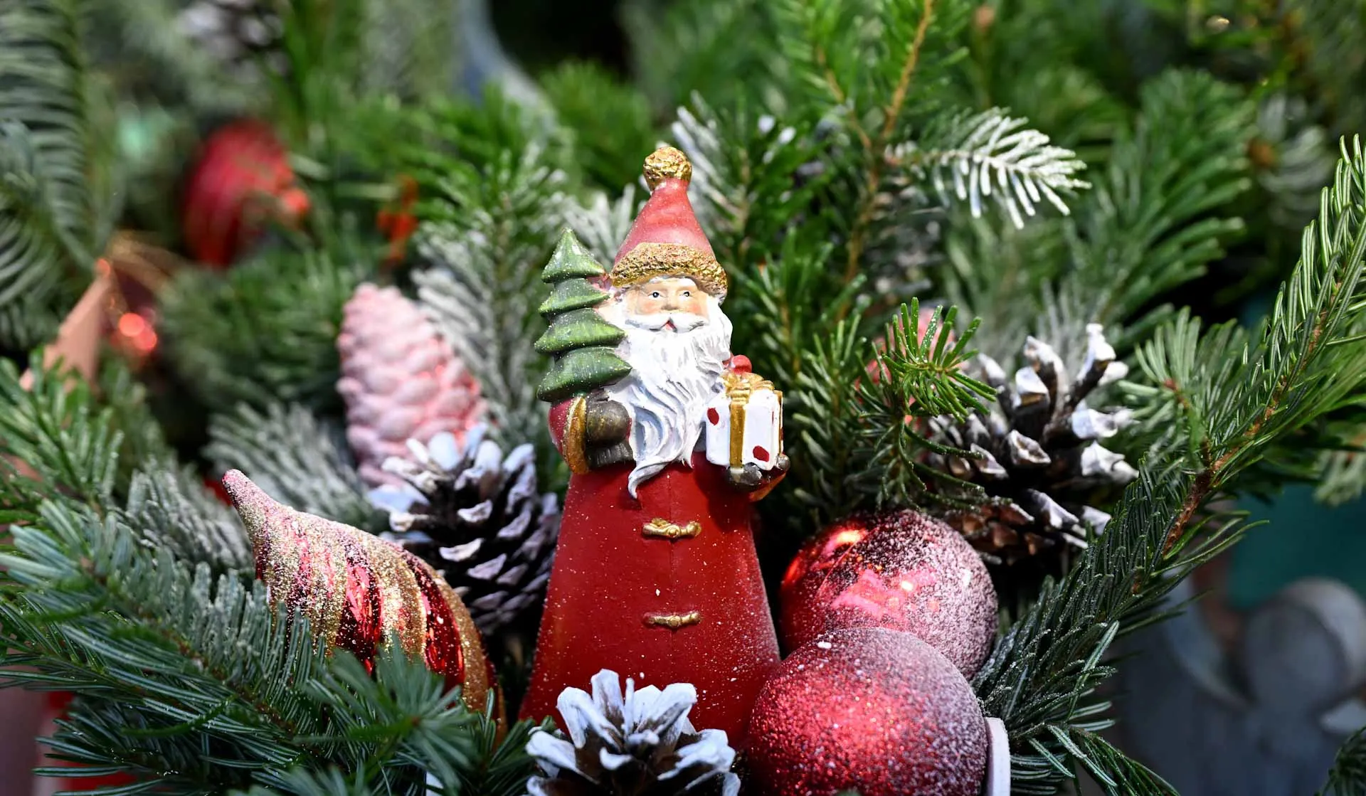 Екатерина Чеснокова/РИА Новости