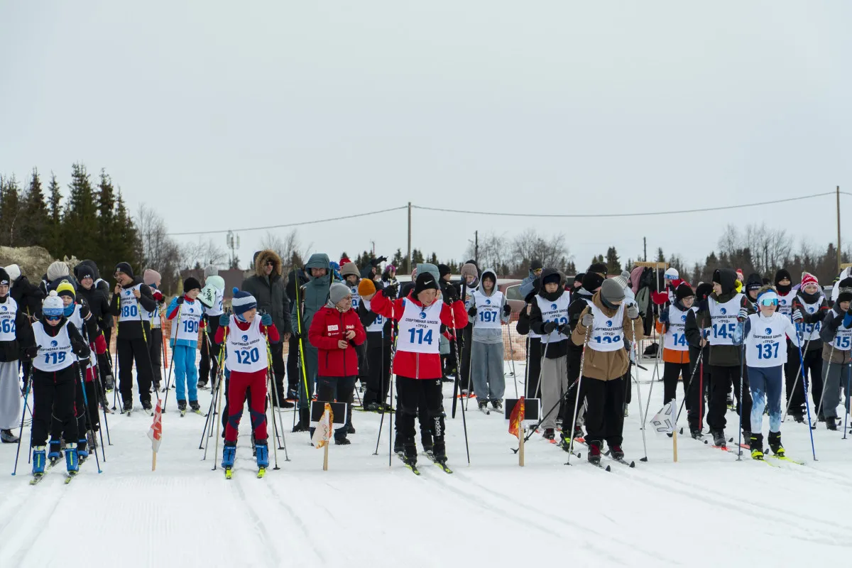 Департамент цифрового развития, связи и массовых коммуникаций Ненецкого автономного округа