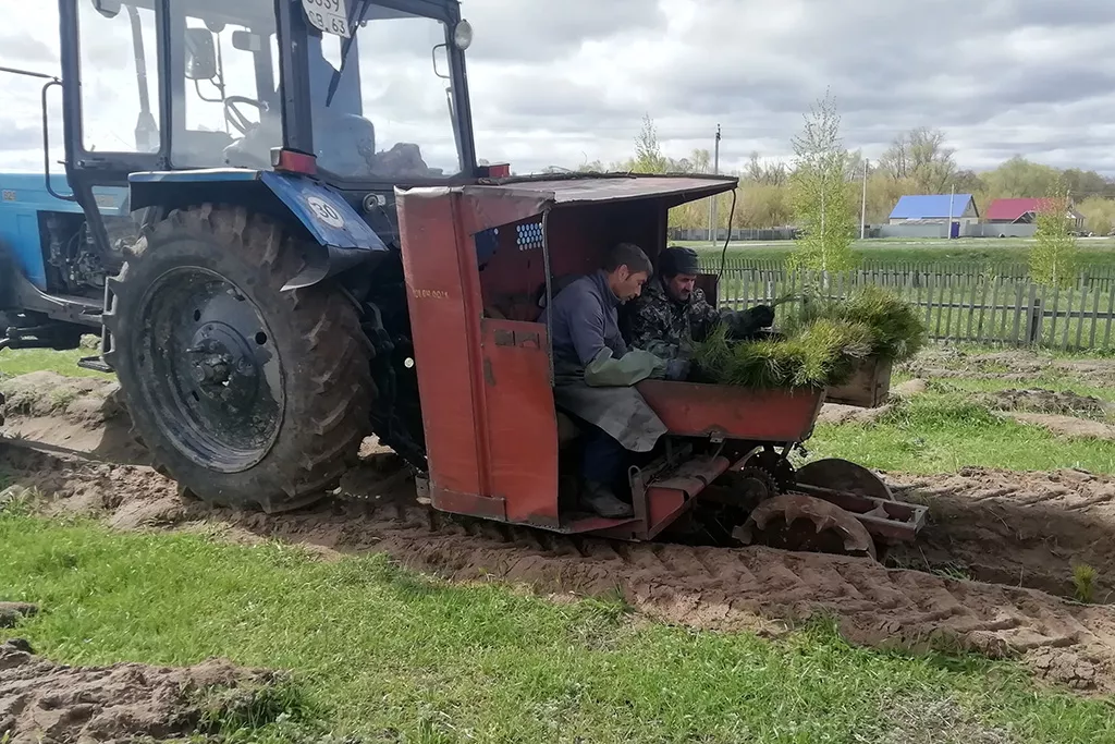 Администрация муниципального района Шигонский Самарской области