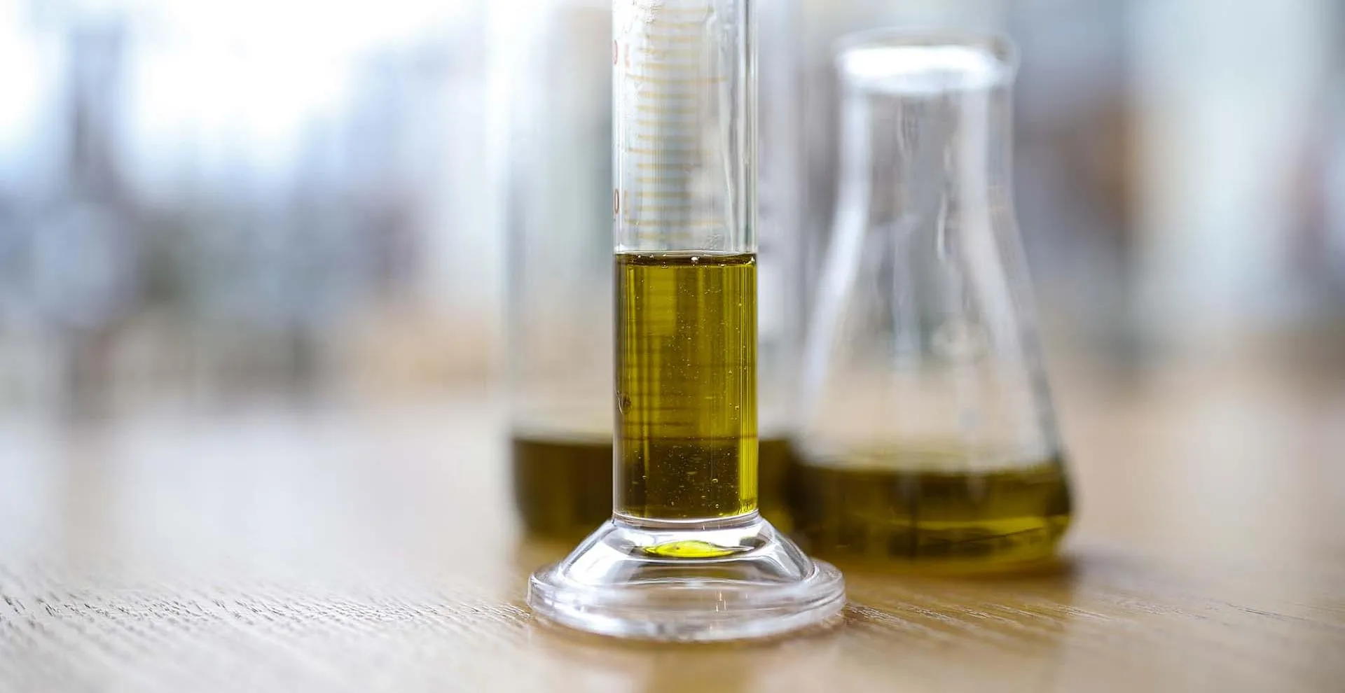 Виталий Тимкив/РИА Новости