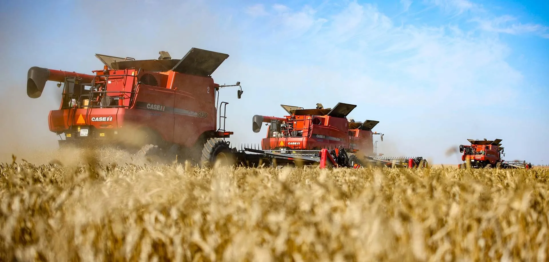 Кирилл Брага/РИА Новости