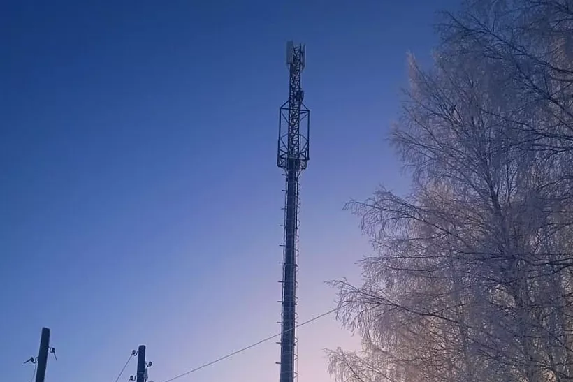 В&nbsp;деревне Большая Сюга Удмуртии установили вышку мобильной связи