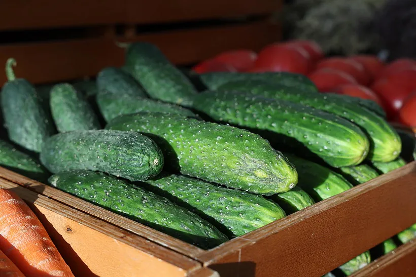 В&nbsp;Таганроге открылись новые торговые точки фермерской продукции