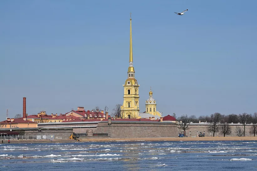 Передвижная выставка &laquo;Орлы гнезда Петрова&raquo; открылась в&nbsp;Петербурге